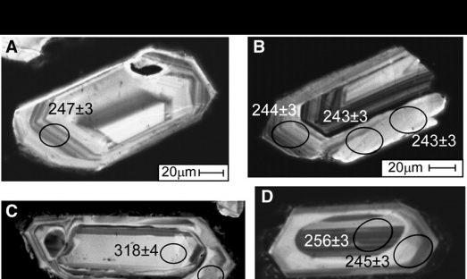zircon2