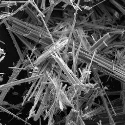 asbestos SEM